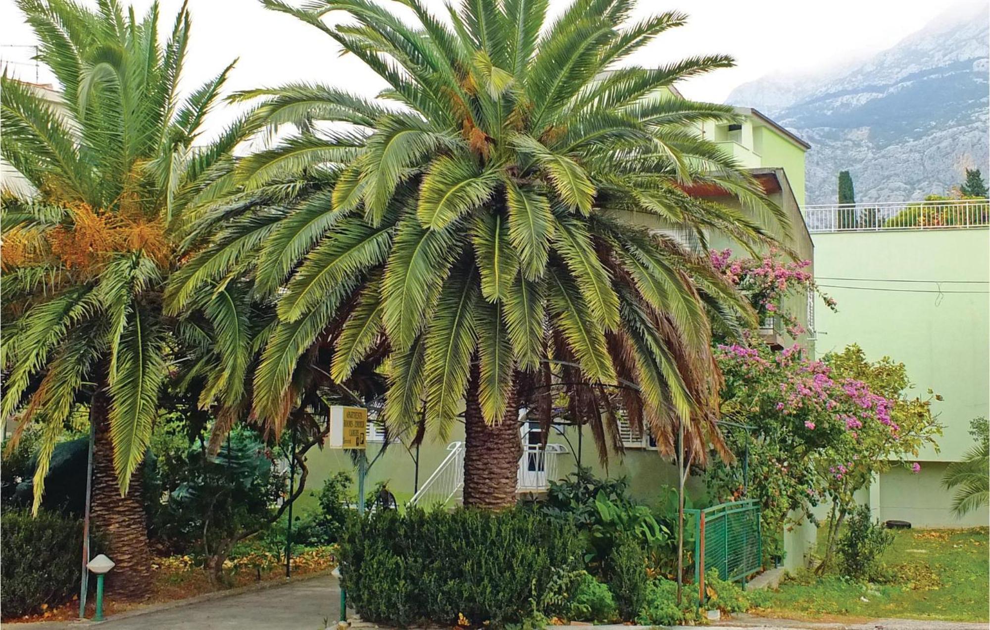 Lovely Apartment In Makarska With Wifi Exterior foto
